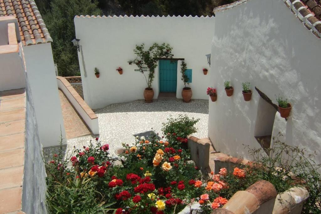 Casa Rosa, con encanto y piscinas privadas Frigiliana Exterior foto